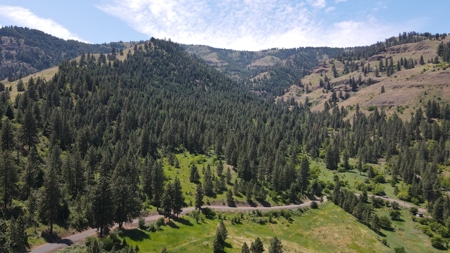 Land for Sale in White Bird, Idaho - image 4