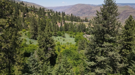 Land for Sale in White Bird, Idaho - image 17