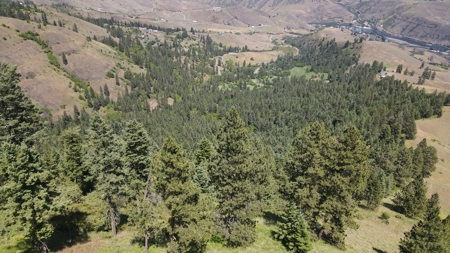 Land for Sale in White Bird, Idaho - image 7