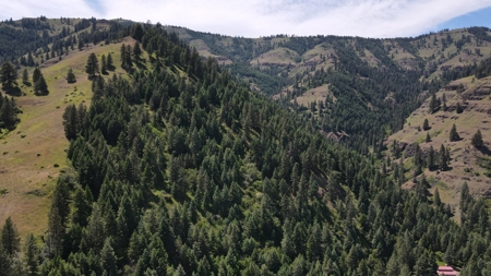 Land for Sale in White Bird, Idaho - image 14