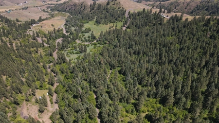 Land for Sale in White Bird, Idaho - image 13
