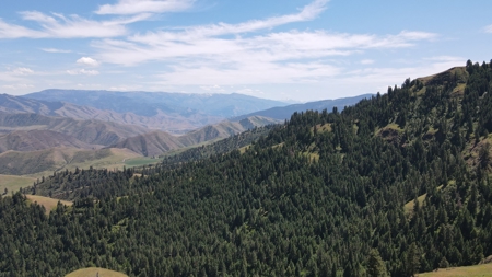 Land for Sale in White Bird, Idaho - image 9