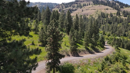Land for Sale in White Bird, Idaho - image 20