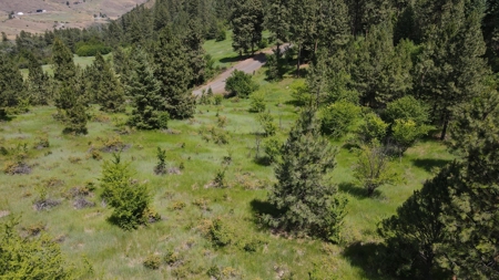 Land for Sale in White Bird, Idaho - image 18