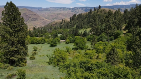 Land for Sale in White Bird, Idaho - image 16