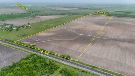 40 Acres in Bee County, TX with FM Frontage - image 1