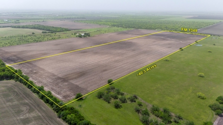 40 Acres in Bee County, TX with FM Frontage - image 3