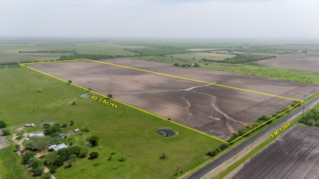 40 Acres in Bee County, TX with FM Frontage - image 2