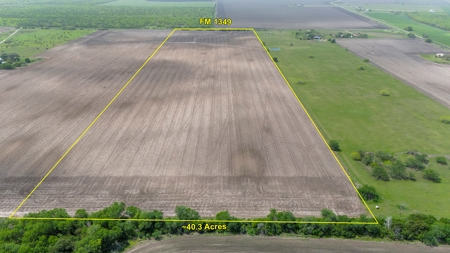 40 Acres in Bee County, TX with FM Frontage - image 4
