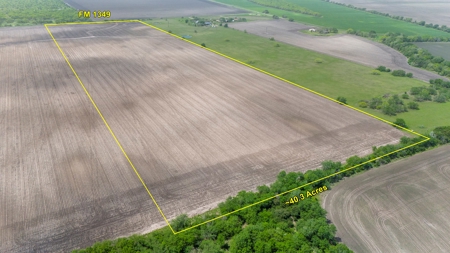 40 Acres in Bee County, TX with FM Frontage - image 5