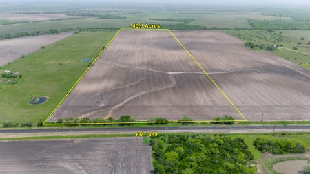 40 Acres in Bee County, TX with FM Frontage - image 6