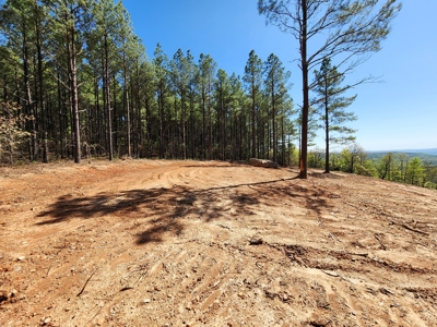 Off-Grid Cabin Building Location – Panoramic Mountain Views - image 19