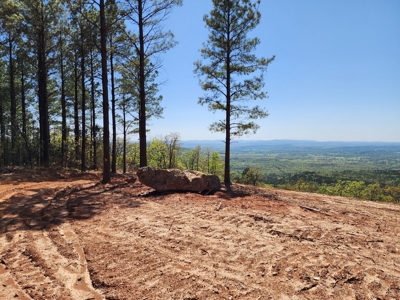 Off-Grid Cabin Building Location – Panoramic Mountain Views - image 13