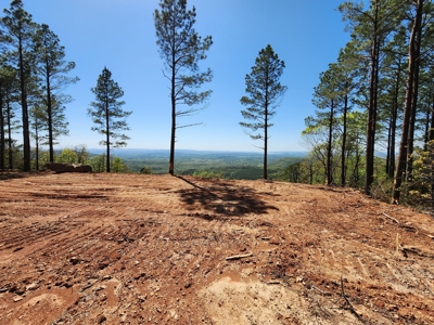 Off-Grid Cabin Building Location – Panoramic Mountain Views - image 22