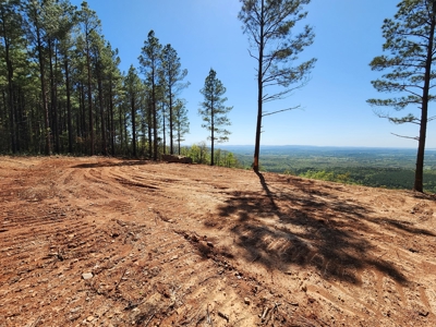 Off-Grid Cabin Building Location – Panoramic Mountain Views - image 20