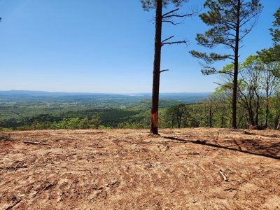 Off-Grid Cabin Building Location – Panoramic Mountain Views - image 12