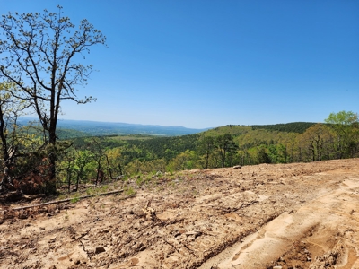 Off-Grid Cabin Building Location – Panoramic Mountain Views - image 2