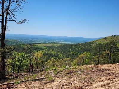 Off-Grid Cabin Building Location – Panoramic Mountain Views - image 3