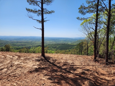Off-Grid Cabin Building Location – Panoramic Mountain Views - image 14