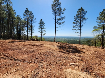 Off-Grid Cabin Building Location – Panoramic Mountain Views - image 21