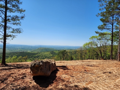 Off-Grid Cabin Building Location – Panoramic Mountain Views - image 9