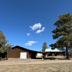 Northern NM Log Home and Acreage for Sale, Heron Lake, Chama - image 6
