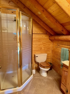Northern NM Log Home and Acreage for Sale, Heron Lake, Chama - image 27