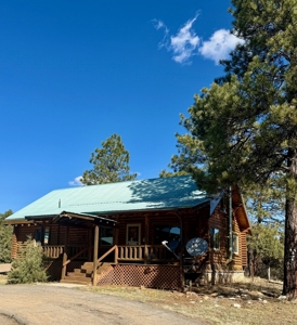 Northern NM Log Home and Acreage for Sale, Heron Lake, Chama - image 1
