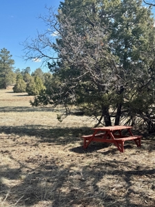Northern NM Log Home and Acreage for Sale, Heron Lake, Chama - image 35