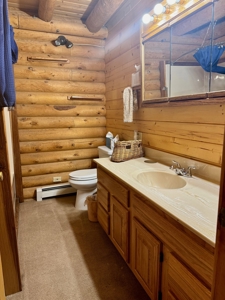 Northern NM Log Home and Acreage for Sale, Heron Lake, Chama - image 29