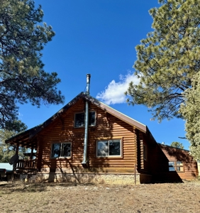 Northern NM Log Home and Acreage for Sale, Heron Lake, Chama - image 2