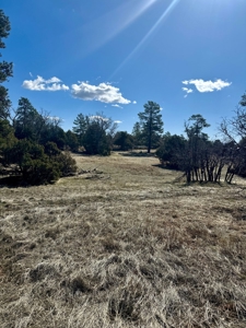Northern NM Log Home and Acreage for Sale, Heron Lake, Chama - image 36