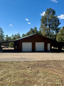Northern NM Log Home and Acreage for Sale, Heron Lake, Chama - image 3