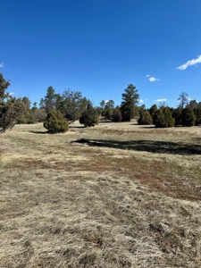 Northern NM Log Home and Acreage for Sale, Heron Lake, Chama - image 37