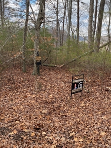 Lake Cumberland - Stillwater Subdivision Lots For Sale - image 3