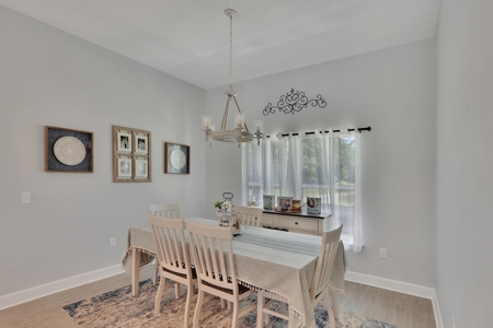 Your Very Own Oasis - 5/3 Home With Pool On 7.71 Acres! - image 9