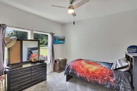 Your Very Own Oasis - 5/3 Home With Pool On 7.71 Acres! - image 23