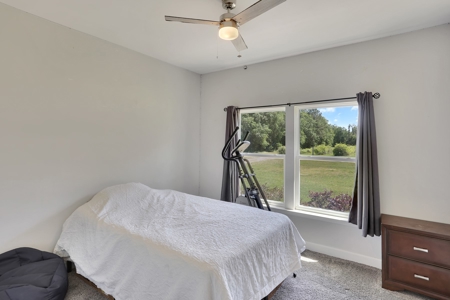 Your Very Own Oasis - 5/3 Home With Pool On 7.71 Acres! - image 25