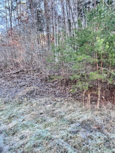 15 Unrestricted Acres in Claiborne County, Tennessee - image 5