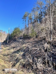 15 Unrestricted Acres in Claiborne County, Tennessee - image 4