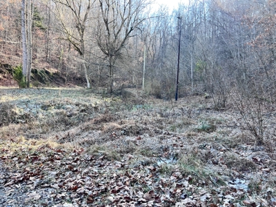 15 Unrestricted Acres in Claiborne County, Tennessee - image 3