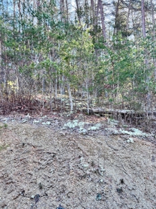 15 Unrestricted Acres in Claiborne County, Tennessee - image 7