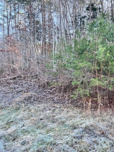 15 Unrestricted Acres in Claiborne County, Tennessee - image 6