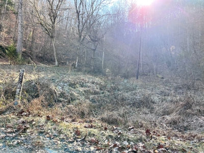 15 Unrestricted Acres in Claiborne County, Tennessee - image 2
