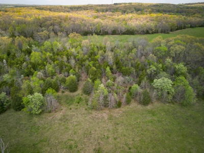Farm/ Hunting Land in Howell County, Missouri - image 7