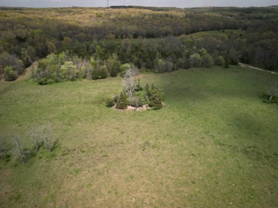 Farm/ Hunting Land in Howell County, Missouri - image 4
