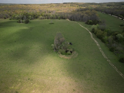 Farm/ Hunting Land in Howell County, Missouri - image 2