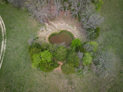 Farm/ Hunting Land in Howell County, Missouri - image 6
