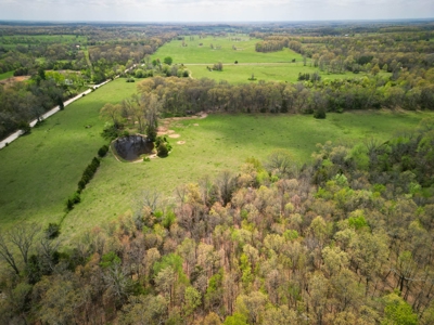 Farm/ Hunting Land in Howell County, Missouri - image 1