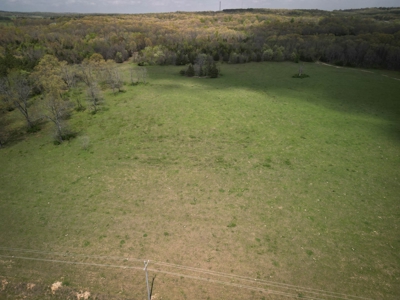 Farm/ Hunting Land in Howell County, Missouri - image 3